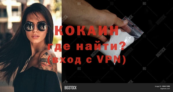 прущие крисы Арсеньев