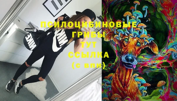 стафф Армянск