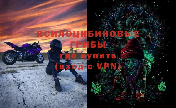 прущие крисы Арсеньев
