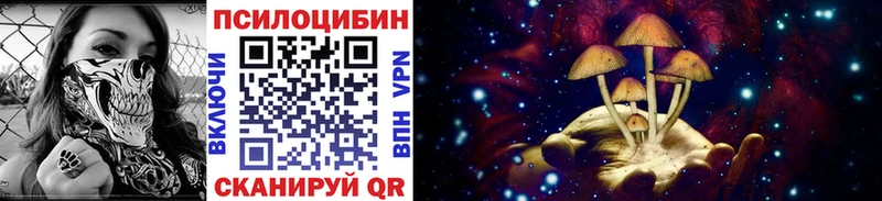 мега зеркало  Верея  Псилоцибиновые грибы GOLDEN TEACHER 